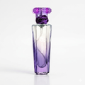 Diamond Rocks - Inspired Luxury Edition (30ml Mini Perfume)